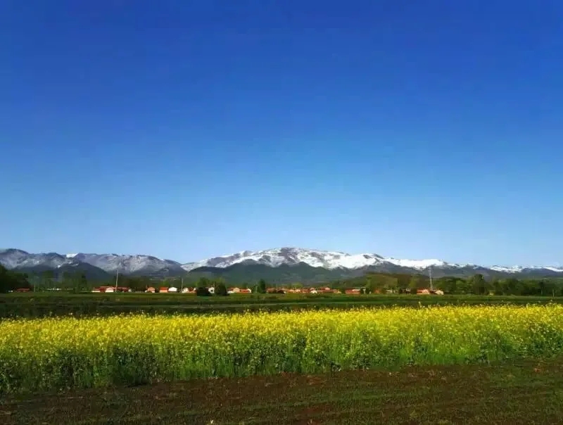 640.webp.jpg 640.webp.jpg